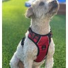 ROOSK Dog Harness | No-Pull, Reflective, 4-Way Adjustable w/Poop Bag