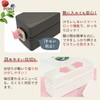 Asbel SS-T600N Smart Lock Bento Box, Slim, Antibacterial, C-Lantus, 2