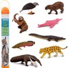 Safari Figure/【Tube】 America Tube
