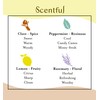 Scentful Smell Training Kit, Smell Retraining Therapy, Restore Sense of
