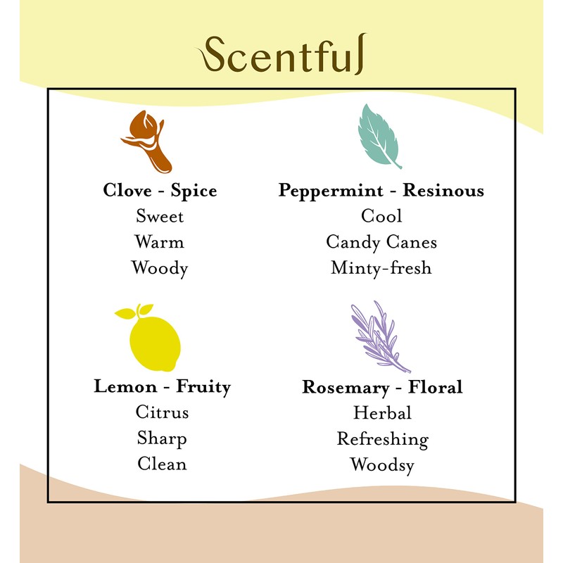Scentful Smell Training Kit, Smell Retraining Therapy, Restore Sense of