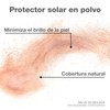 Fotosun UV 100 Protector Solar Brush en Polvo para Cara