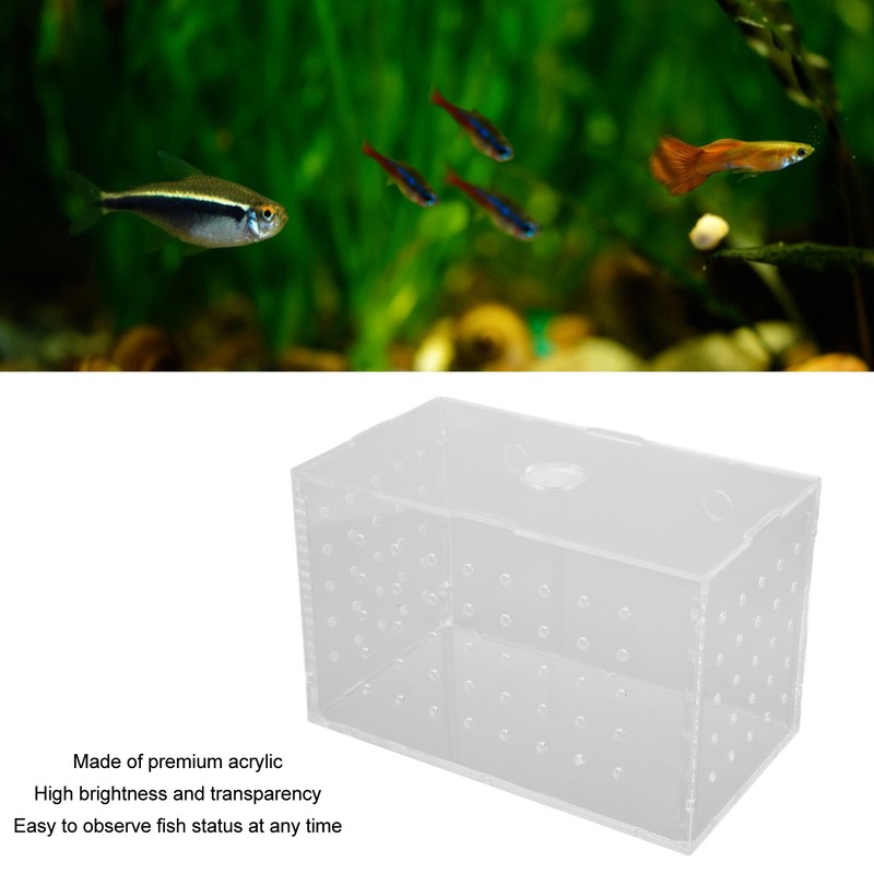 Fish Breeder Box High Transparency Acrylic Hatchery Incubator Tank with
