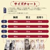 IECOii Cat Postoperative Clothes with Zipper, Cat Clothing, Licking Prevention,