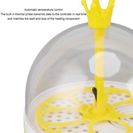 Mini Incubadora de Huevos para el Hogar Control Automático de Temperatura y Humedad 4 Huevos Candler Máquina para Incubar Aves de Corral para Pollos Patos Palomas (automático)