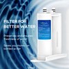 EcoAqua EFF-6029A Refrigerator Water Filter Compatible with WF2CB, FC100, EWF2CBPA,