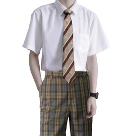QOOLY Men's Student Uniform, Student Shirt, School Pants, Checked For School Entrance Ceremonies, Graduation Ceremonies, Events, High School Uniforms, Brown, L
