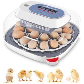 Sailnovo 24 Eggs Incubators for Chicken Eggs with 4 Modes, 360° View Incubator with Automatic Egg Turning and Temperature Control Humidity Display, Digital Incubator for Chicken Quail Duck(Blue)