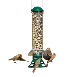 Perky-Pet 5141-2 Squirrel Slammer Wild Bird Feeder , Green