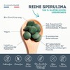 Super Spirulina Organic - 500 Spirulina Tablets of 500 mg