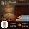 Folux Cordless Boho Rattan Table Lamp Black, 5200-mAh Rechargeable Battery,