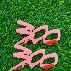 2 insignias de 300 goteos para coche, números agresivos personalizados, placa de identificación con logotipo (negro rojo)