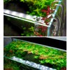 JARDLI Glass Lily Pipe Jet Outlet with Skimmer Surface Vent