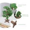 WINOMO Tree Model Tree Model Tree Model Railroad Model Railroad