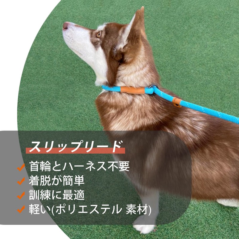 Dog Slip Leash Dog Leash, Reflective Rope Lead, Anti-Pull Lead,