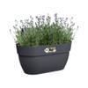 elho Vibia Campana Easy Hanger M 36 - Planter for