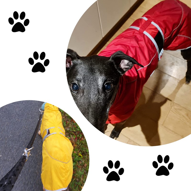 Geyecete Dog Jacket Adjustable Lightweight Raincoat with Reflective Straps and
