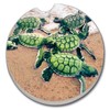 Thirstystone Baby Sea Turtles Single Absorbent Stone Coaster for Vehicle
