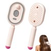 2026 New Electric Spray Air Cushion Massage Comb (Pink)