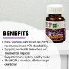 OIC NEW Nano Silymarin - 60 Capsules - Liver Health
