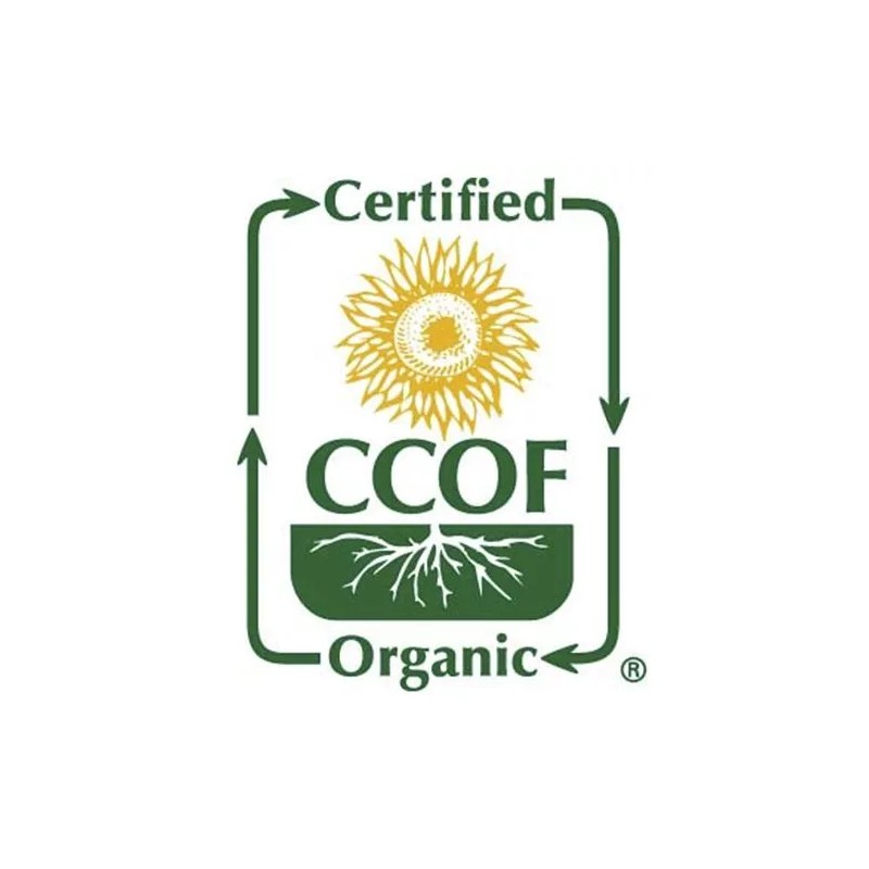 McCabe Organic Kamut 2 lbs, USDA & CCOF Organic Certified