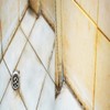Erase It for Calcium Rust Stains Algae On Concrete Plaster