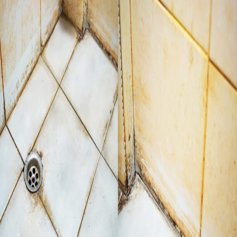 Erase It for Calcium Rust Stains Algae On Concrete Plaster