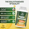 Mullein Leaf Extract for Lungs - 10,000 mg – Lung