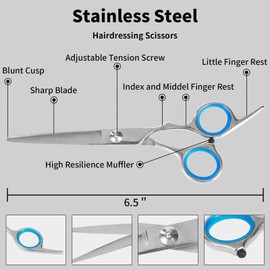 Homekoey Hair Cutting Scissors,6.5 Inch Professional Stainless Steel Barber Haircut Shears Razor,Sharp Blades,One Comb Included, For Salon Home Men Women Adults Kids Pet (Silver)