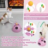 TERLOPBON Cat Toys, Catnip Toys for Cats, Cat Toys with