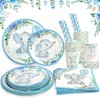 Boy Elephant Baby Shower Decorations Party Supplies Plate Set Serves