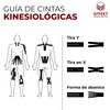 Kinesiological Tape Latex-free Medical Physio Tape with Instructions for Sports,