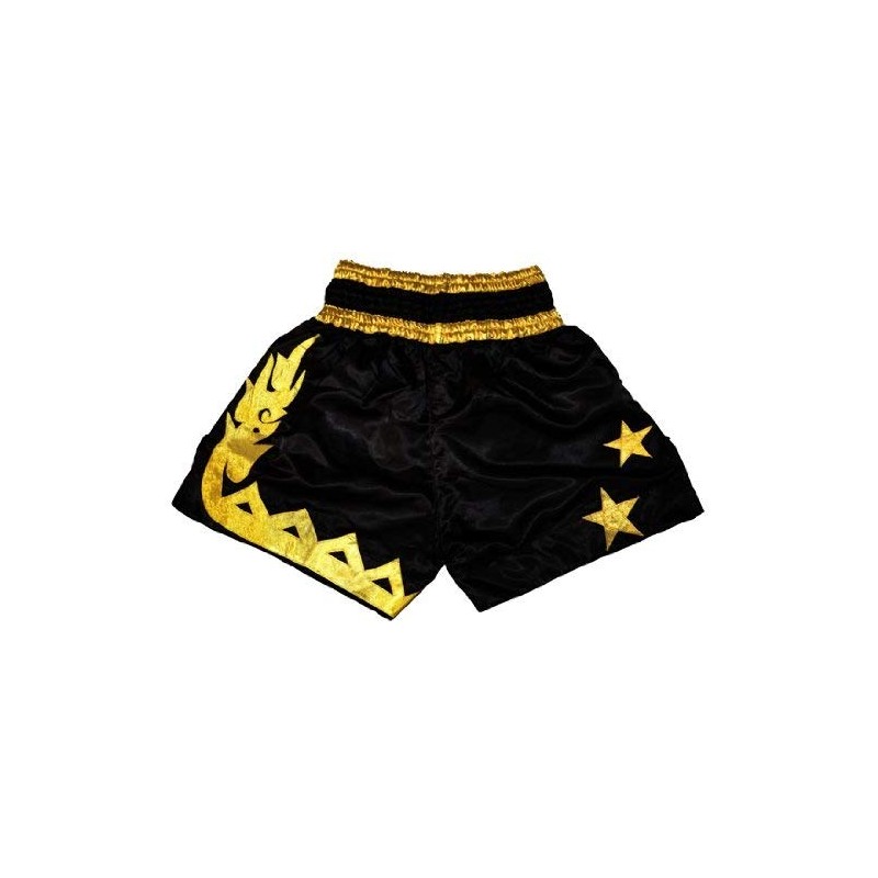 Muay Thai Shorts-Black/Gold (Medium)