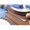 Artaste 56402 Rain 18/10 Stainless Steel Iced Cream Spoon (Set