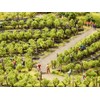 NOCH® Grape Vines 24 Vines Approx. 1.6 cm High for