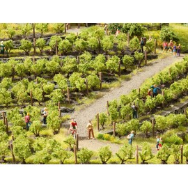 NOCH® Grape Vines 24 Vines Approx. 1.6 cm High for Gauge N, Z Ideal for Model Making and Dioramas