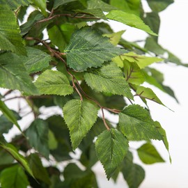 Aphighjoy 4Ft Artificial Birch Tree, Green Siberian Birch Tree for Indoor, Fake Potted Ficus Tree with Silk Leaves for Home Office Living Room Decor