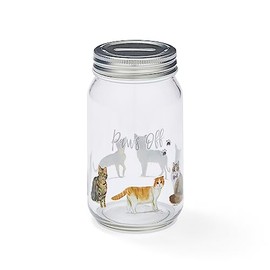 Cooksmart British Designed Money Jar | Money Box For Saving Cash or Coins | Piggy Bank For Adults & Family - Curious Cats