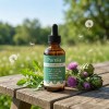 Purelia Liver Restore, Complete Liver Support Supplement with Milk Thistle