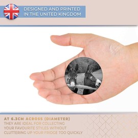 Destination Vinyl ltd Magnet for Refrigerator, Fridge BW - Cute Donkey Horse Pony for Office, Cabinet and Whiteboard, Magnetic Stickers, 37370