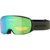 ALPINA NAKISKA Q-LITE Mirrored, Contrast-Enhancing OTG Ski Goggles with 100%