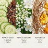 Esencia ambiental aroma Palacio para difusores profesionales y aromaterapia de