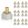 25-Pack HeSun PEX Fittings, 1/2" Pex x 1/2" Female NPT