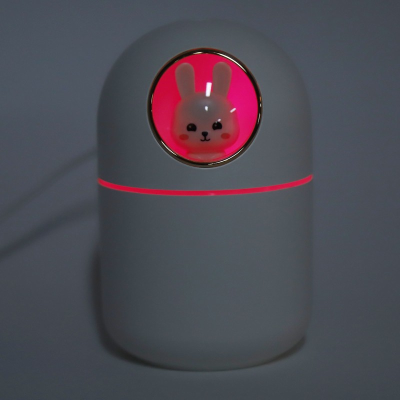 Humidifier Aroma Diffuser USB Power Supply 300ml Capacity Auto Shutdown