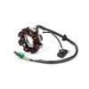 Chanoc 8 Poles Magneto Stator DC for GY6 150cc ATV