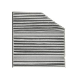 RIDEX Plus cabin air filter, 424I0616P, pollen filter, height: 40, width: 245, length: 261
