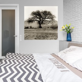 Fine Art Canvas Willow Tree Canvas Wall Decor by Artist Alan Blaustein for Living Room, Bedroom, Bathroom, Kitchen, Office, Bar, Dining & Guest Room - Ready to Hang - 32 in x 32 in