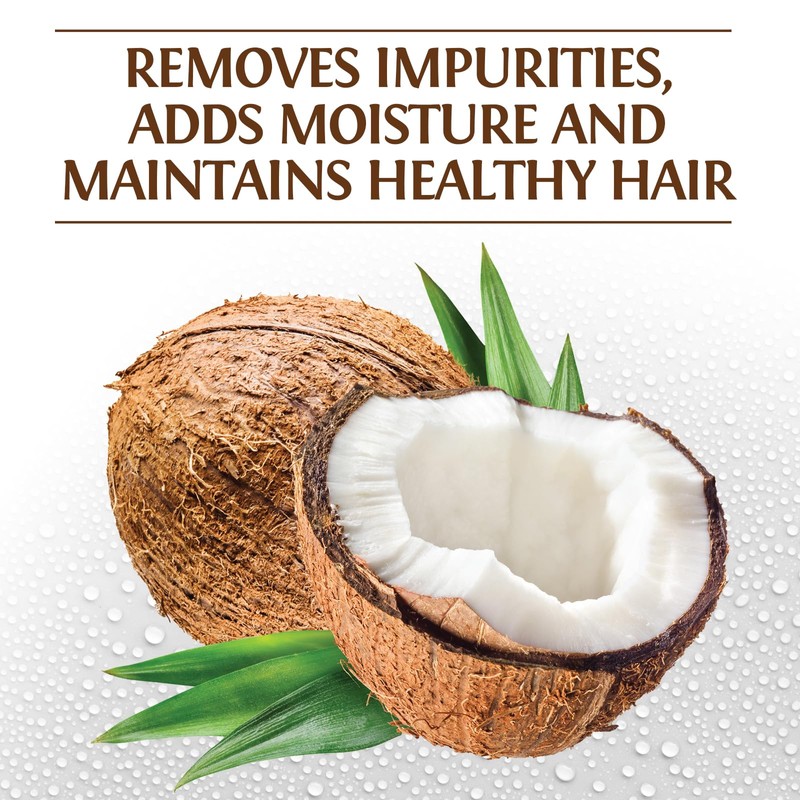BioSilk Silk Therapy with Natural Coconut Oil Moisturizing Shampoo, Cleanses