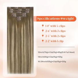 Sunny Hair Clip in Hair Extensions Straight Human Hair Clip in Extensions Remy Clip in Hair Extensions Real Human Hair Extensions Clip ins Ombre Walnut Brown to Light Brown Blonde 20