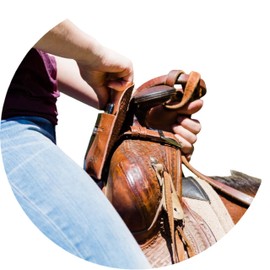 STARKENBURG COMPANY Horse Saddle Phone Holder, Original Design, Saddle Phone Holder, Horse Tack, Horse Gifts for Women, Equestrian Gifts Horse Lover